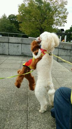 DSC_0166 (2).JPG