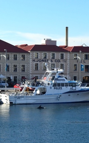 DSC_2647.JPG