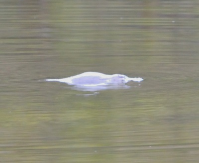 DSC_2989.jpg