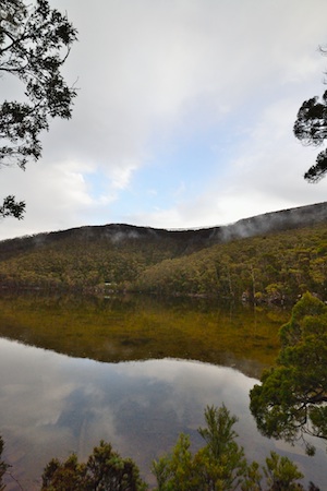 DSC_3005.jpg