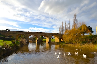 DSC_3401.jpg