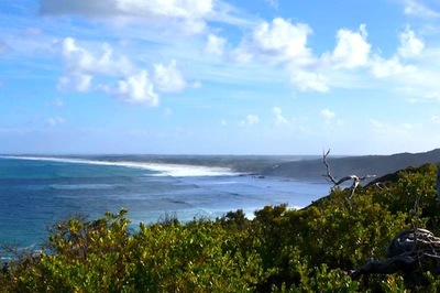 DSC_9969.JPG