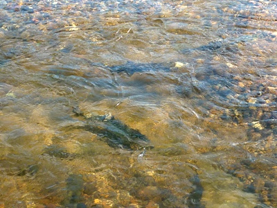 P1040854.JPG