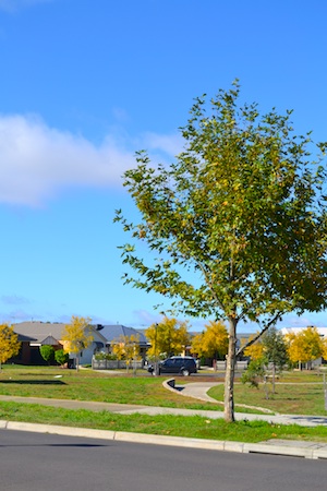 autumn2.jpg