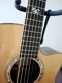 guiter3.JPG