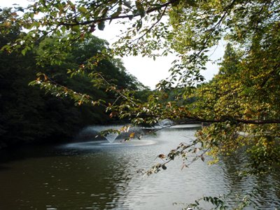 kichijouji5.JPG