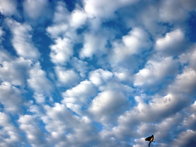 sky1.JPG